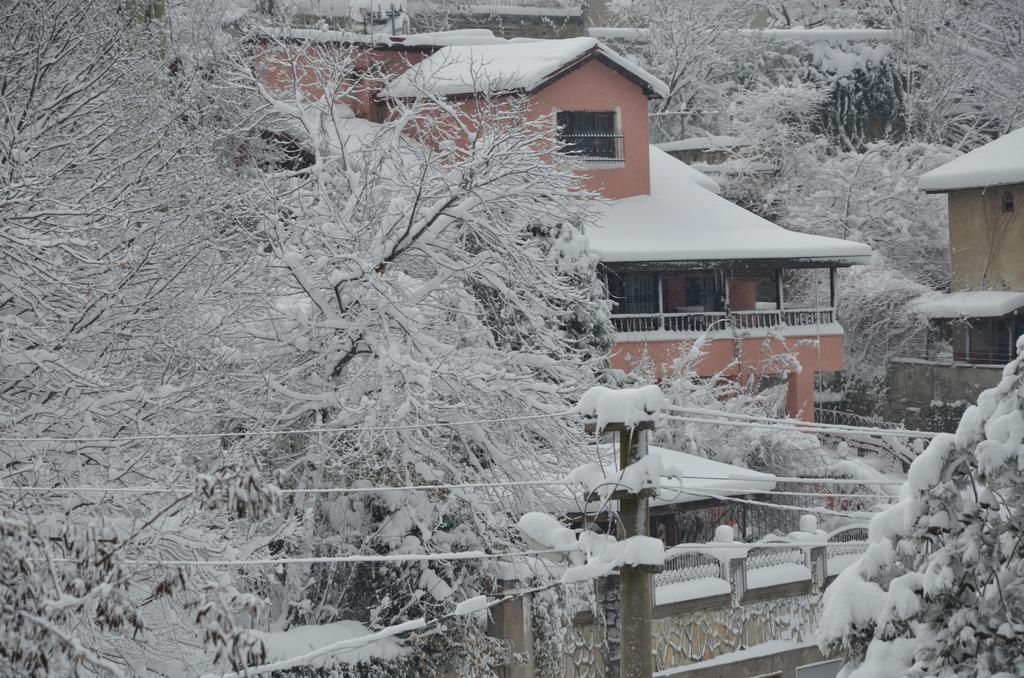 Yaprak Dag Evi Βίλα Sapanca Δωμάτιο φωτογραφία